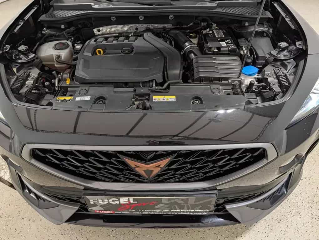Cupra Formentor 1.5 TSI DSG Navi|ACC|RFK|virt.Cock.|LE 12/2021-photo-30