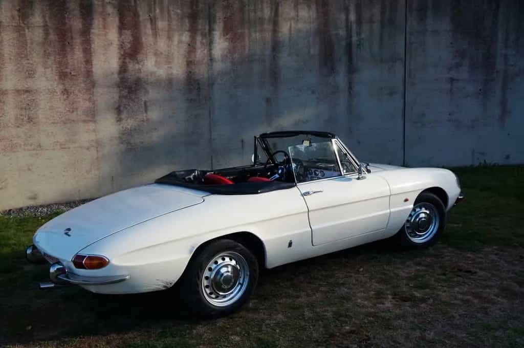 Alfa Romeo Spider Duetto 1600 Veloce 09/1966-photo-11