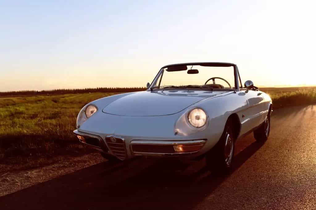 Alfa Romeo Spider Duetto 1600 Veloce 09/1966-photo-12