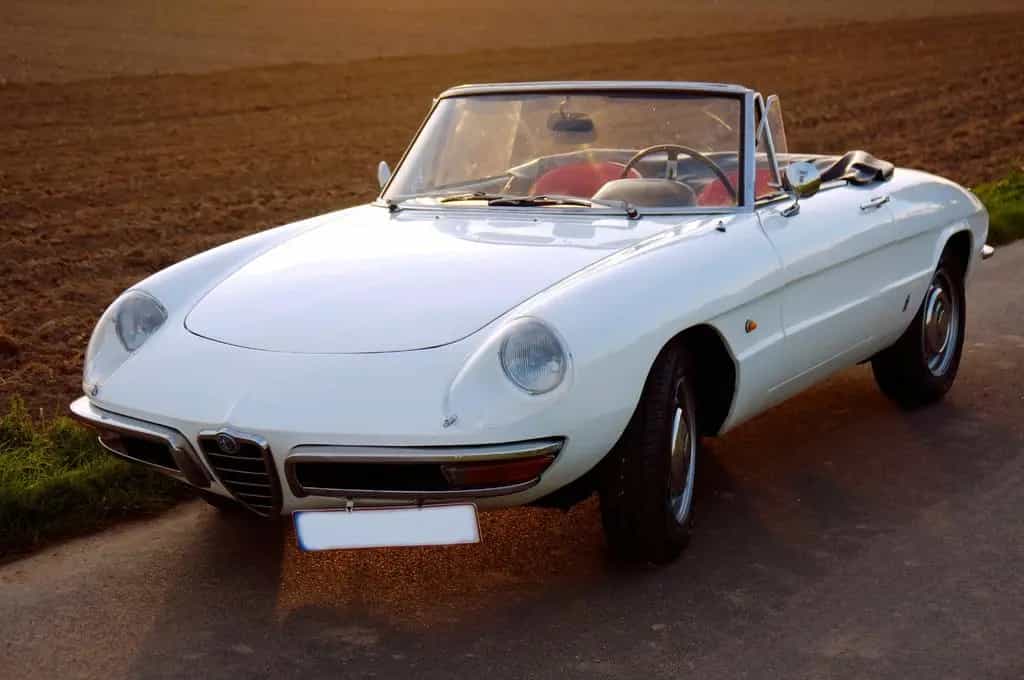 Alfa Romeo Spider Duetto 1600 Veloce 09/1966-photo-13