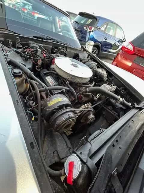 Corvette C3 Automatik/TÜV neu/Historie/H-Zulassung/Klima 07/1979-photo-17