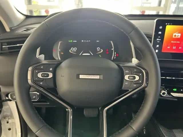 GWM Other Jolion Pro Luxury Leder, Pano, LED Klima 05/2026-photo-5