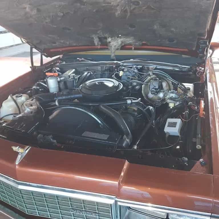 Chevrolet Caprice 07/1978-photo-4