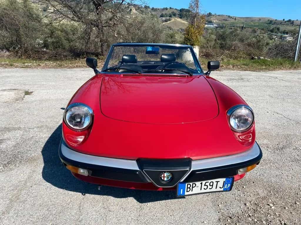 Alfa Romeo Spider DUETTO TARGA ORO 12/1987-photo-6