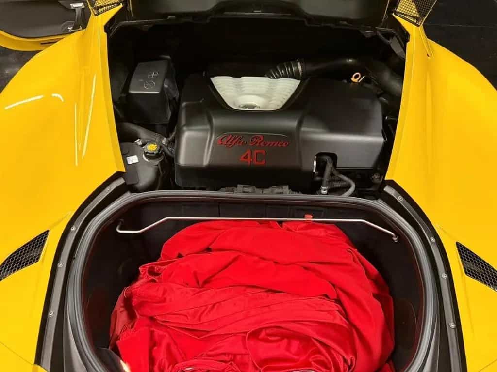 Alfa Romeo 4C 1750 TBi 02/2018-photo-8