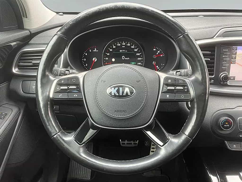 Kia Sorento 2.2 CRDi AUT 4WD Platinum XEN PANO NAVI 03/2018-photo-14