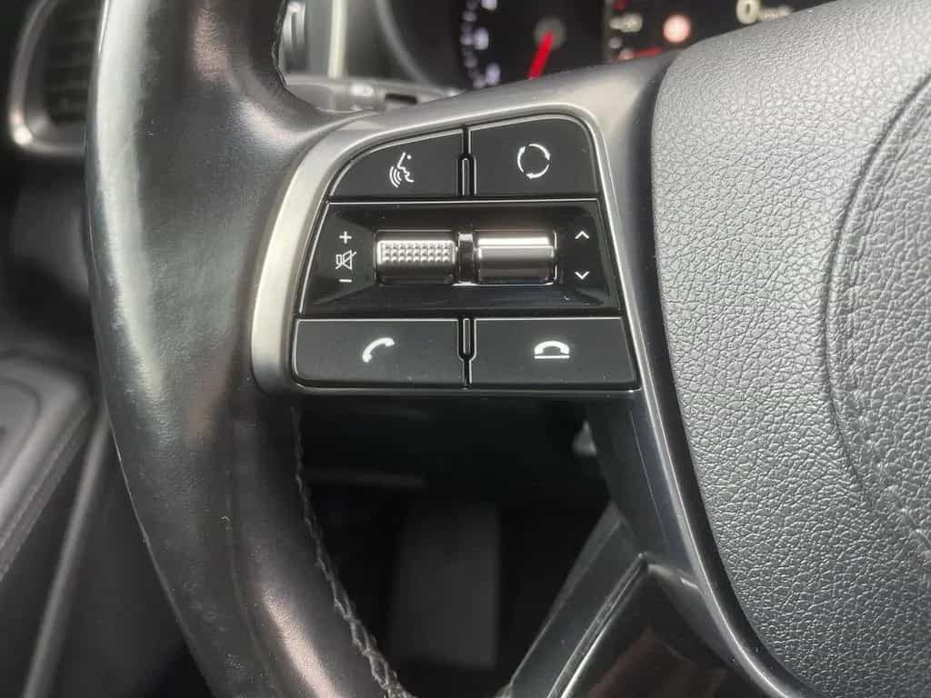 Kia Sorento 2.2 CRDi AUT 4WD Platinum XEN PANO NAVI 03/2018-photo-25