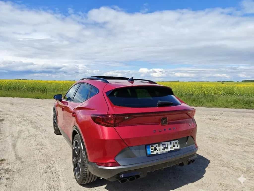Cupra Formentor 2.0 TSI 228kW VZ Tribe Edit. 4Driv.... 02/2023-photo-6
