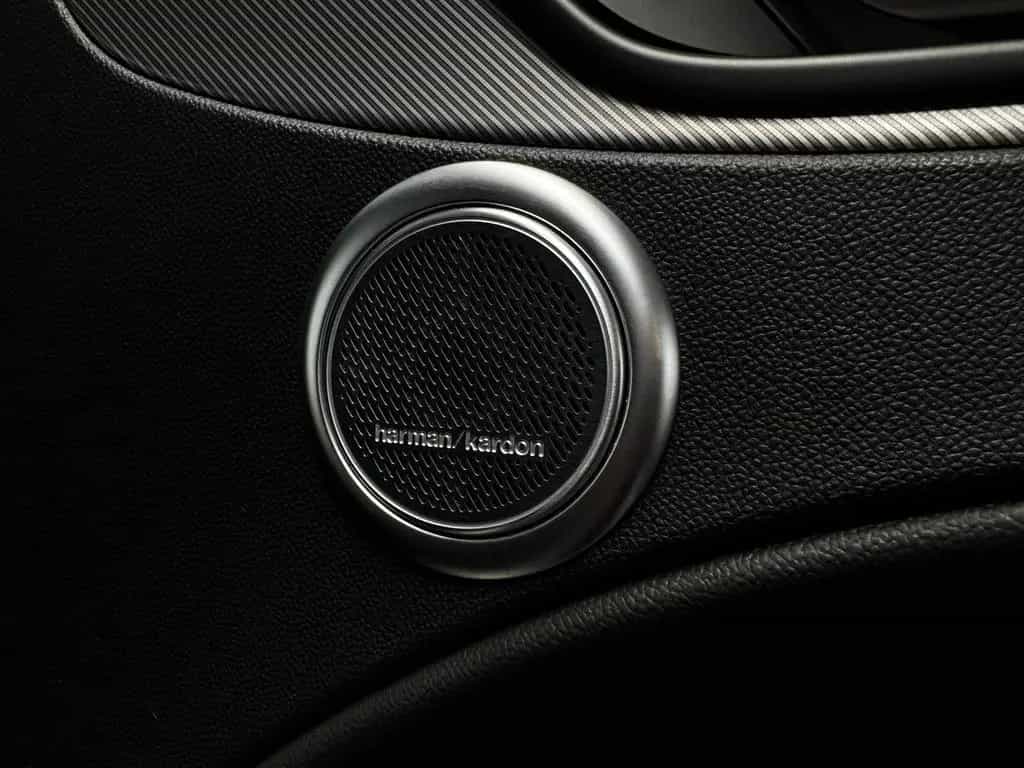 Alfa Romeo Stelvio 2.2 JTDM KAT Veloce Q4 Metallic 05/2024-photo-27
