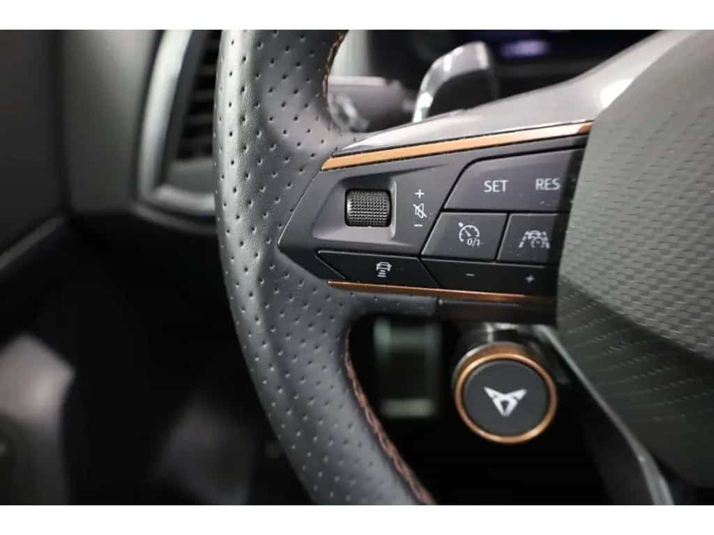 Cupra Ateca 2.0 TSI 4Drive 04/2023-photo-10
