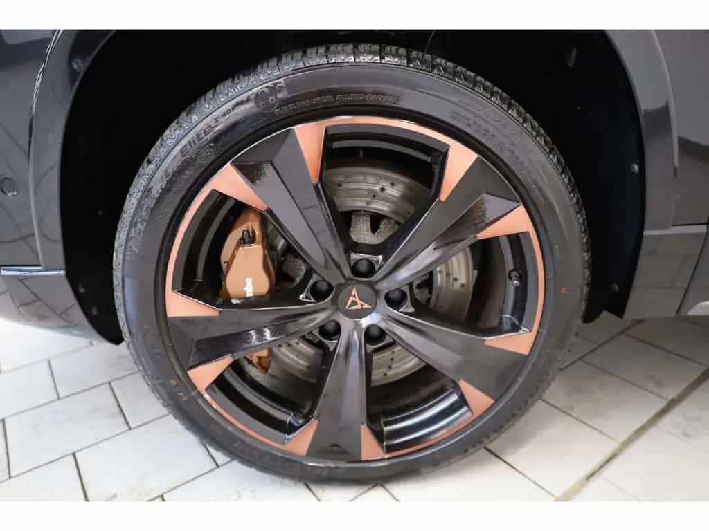 Cupra Ateca 2.0 TSI 4Drive 04/2023-photo-19