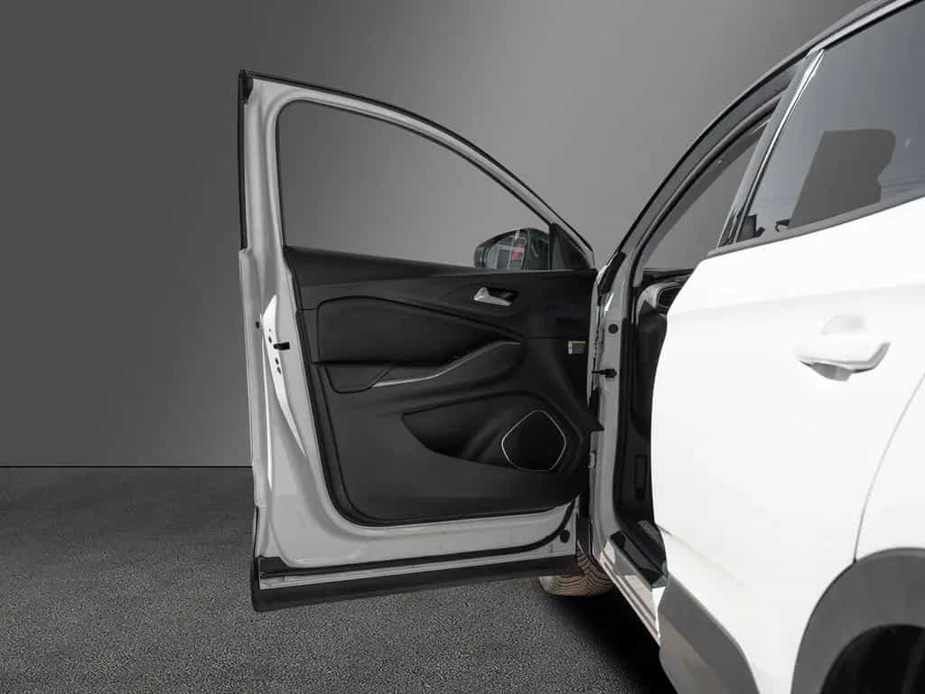 Opel Grandland (X) Grandland Innovation AHK Grip-Control PANO 11/2019-photo-24