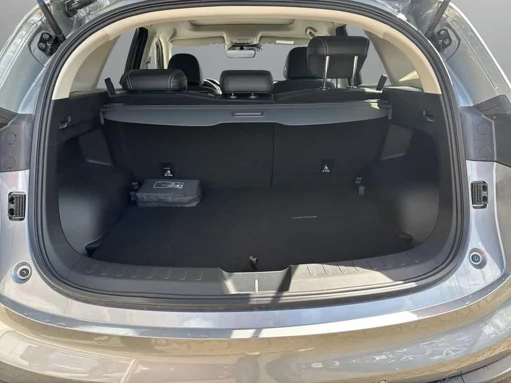 GWM HAVAL Jolion Pro Luxury null-photo-2