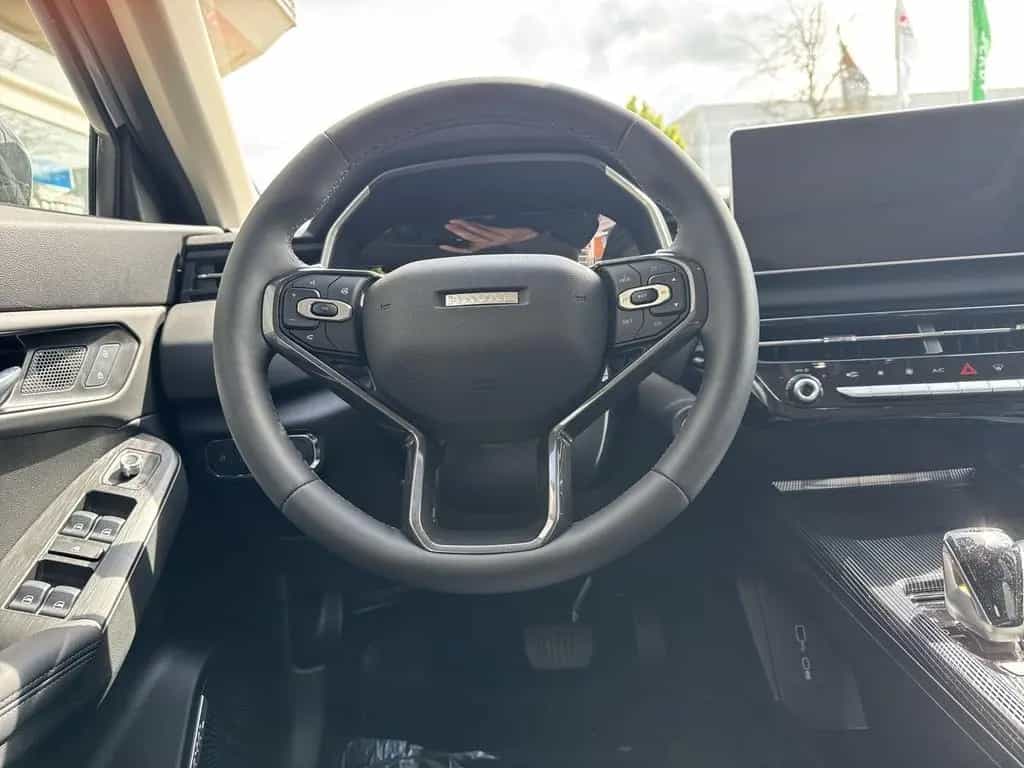 GWM HAVAL Jolion Pro Luxury null-photo-8