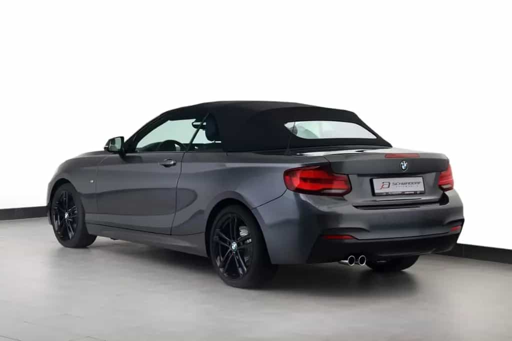 BMW 2 Series 220i SAG Cabrio M Sport NaviProf RFK 18" 2.Hand 04/2021-photo-2