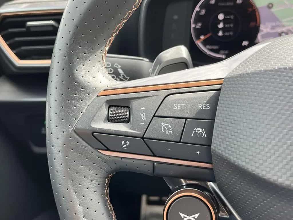 Cupra Formentor VZ Drive 2.0 TSI 4x4 DSG 360°Kamera AH 10/2021-photo-15