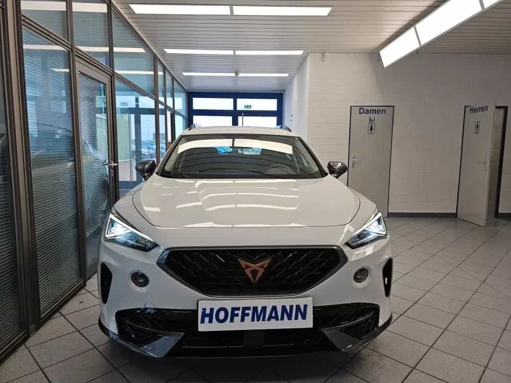 Cupra Formentor Sitzhzg.,Kamera,PDC vorn+hinten 07/2022-photo-22