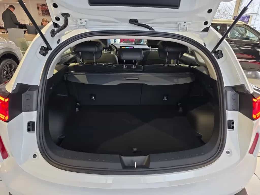 GWM HAVAL Jolion Pro 1.5 Turbo 7G-DCT Premium Pano A null-photo-24