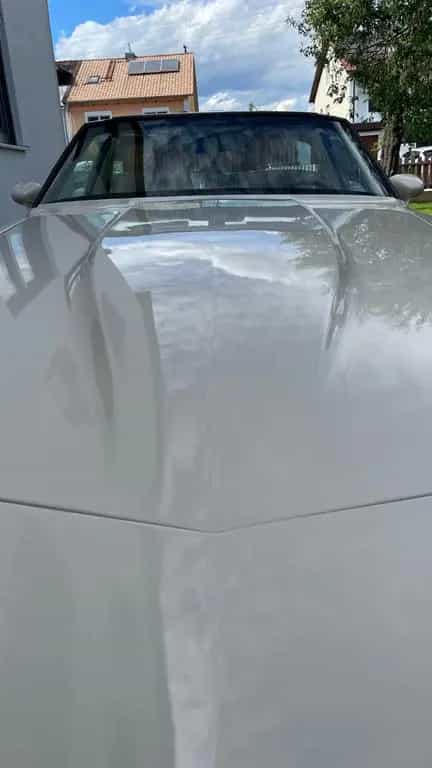 Corvette C3 07/1980-photo-9