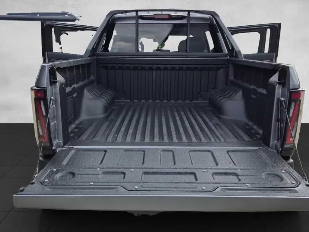 DFSK Other Rich9 Pickup Z9 ZNA 04/2026-photo-20