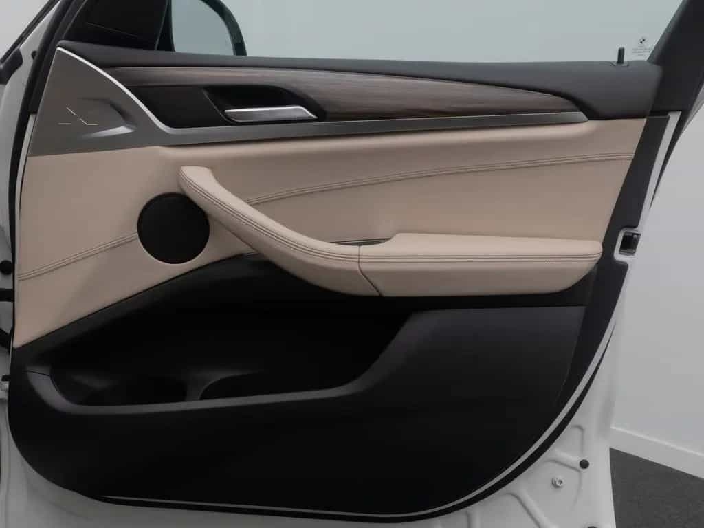 BMW X3 xD20d M Sport Kamera Panorama HUD DAB HiFi 02/2019-photo-31