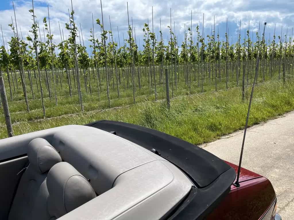 Saab 900 Ruby Red, Leder Beige, ATM 180.000 km 12/1993-photo-12