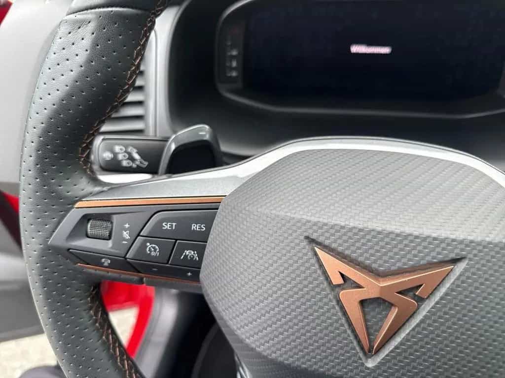 Cupra Ateca Basis 4Drive LED+360KAMERA+KLIMA+DAB+BEATS 03/2023-photo-21