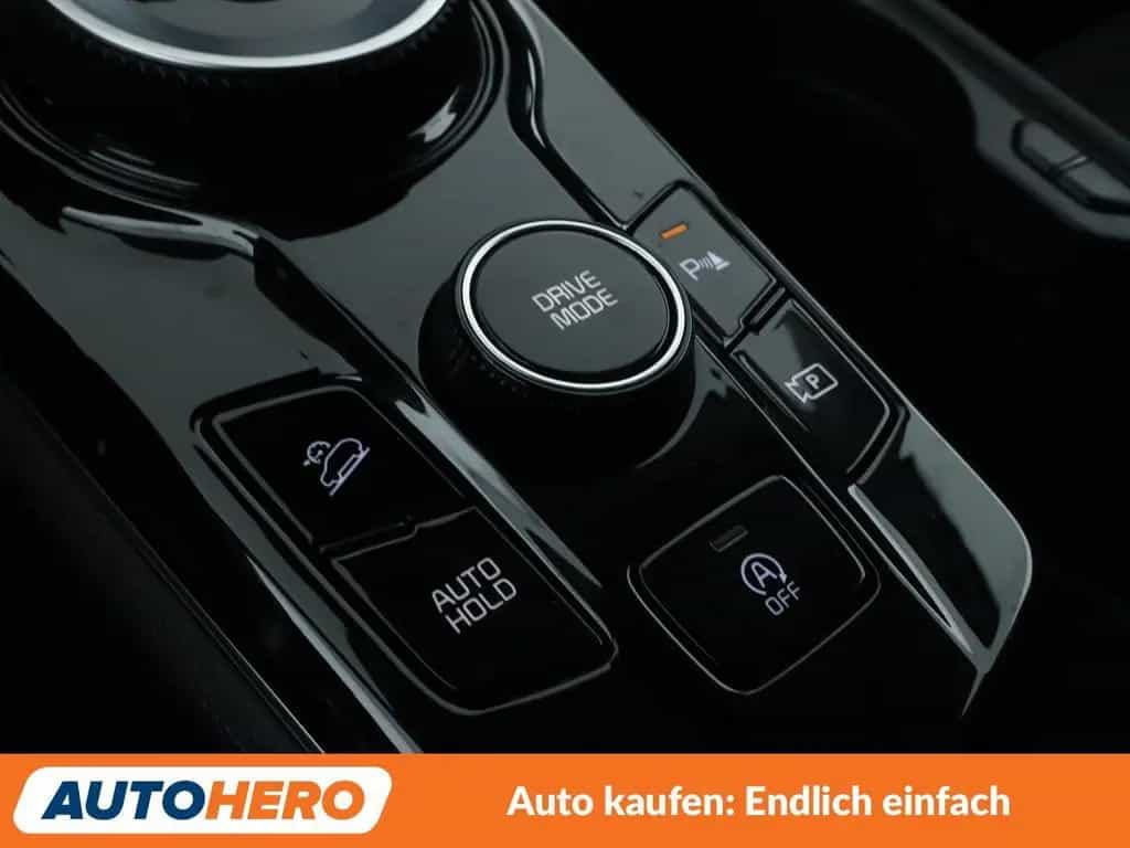 Kia Sportage 1.6 TGDI Mild-Hybrid Vision Aut.*NAVI* 01/2024-photo-29
