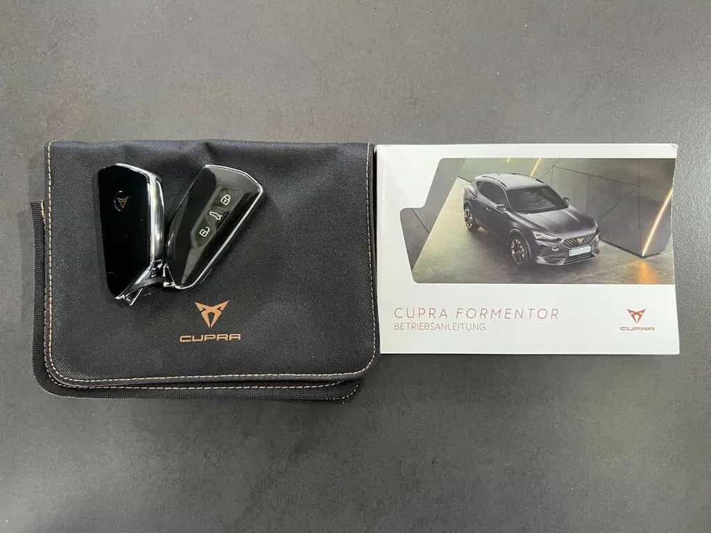 Cupra Formentor 2.0 TDi **Navi*Virtual*LED*ACC*AHK** 12/2021-photo-17