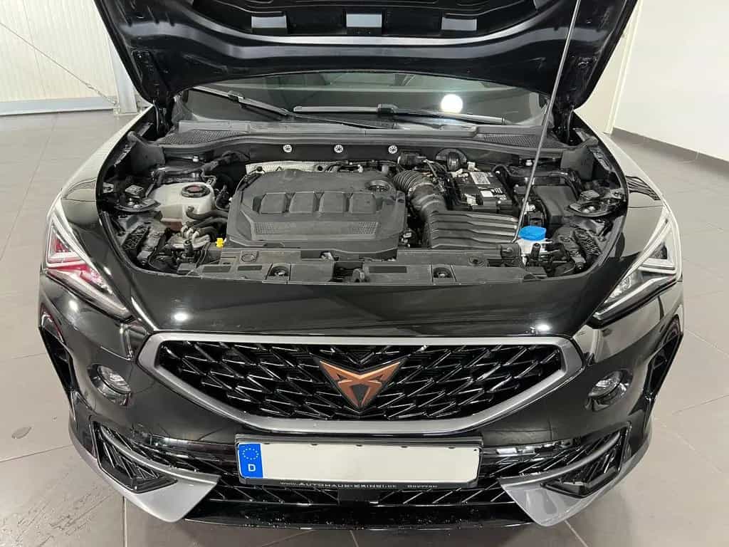 Cupra Formentor 2.0 TDi **Navi*Virtual*LED*ACC*AHK** 12/2021-photo-18