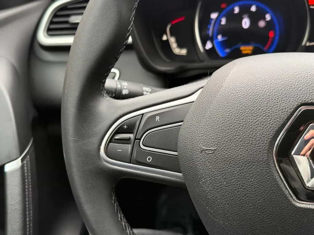Renault Kadjar Business Edition Nav LED 01/2019-photo-14
