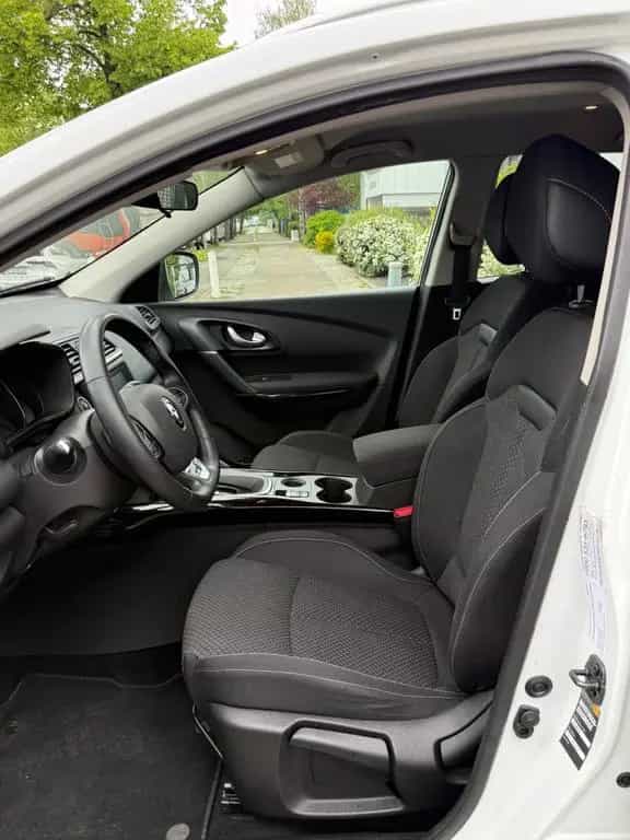 Renault Kadjar Business Edition Nav LED 01/2019-photo-26