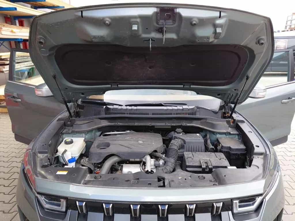 Ssangyong Torres 1.5 T-GDI Forest Edition Automatik Fo... 10/2023-photo-12