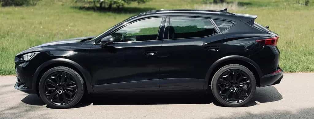 Cupra Formentor Tribe: Matrix LED/ AHK/ Panorama 05/2023-photo-5