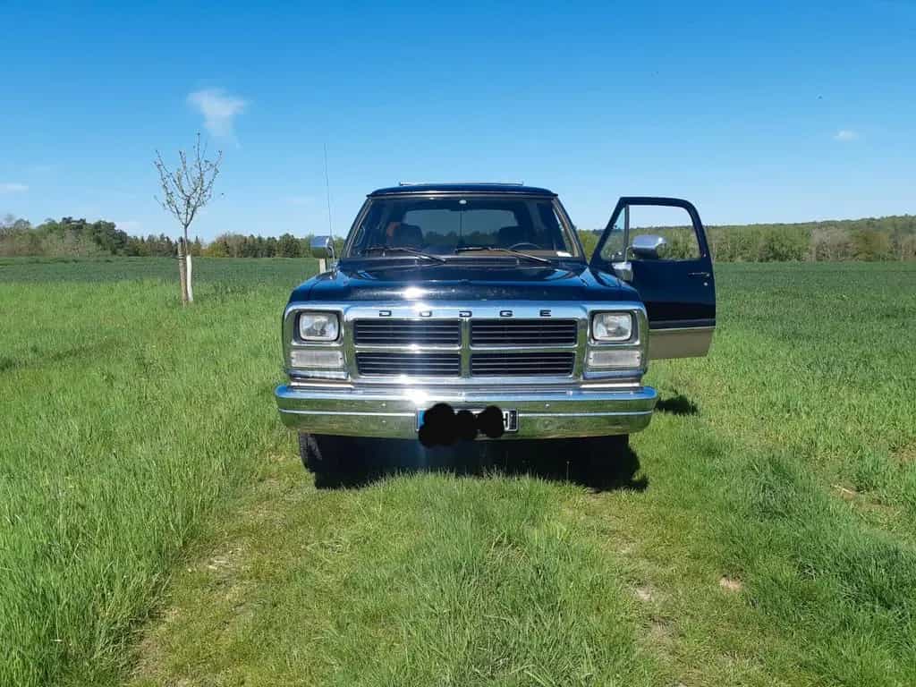 Dodge Other Andere 07/1992-photo-6