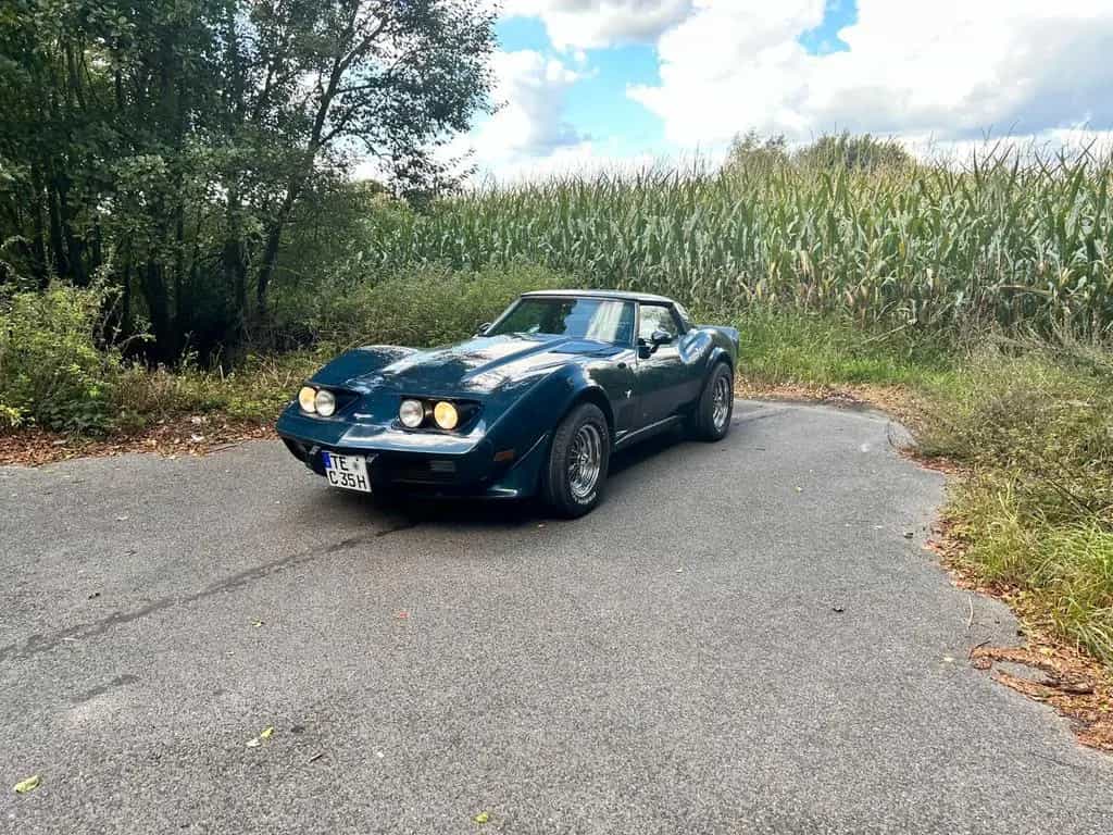 Corvette C3 TARGA MATCHING NUMBER/H-ZULASSUNG/SPEICHENFEL 07/1979-photo-19