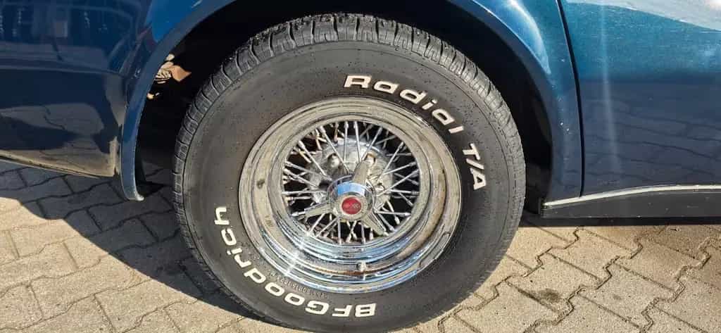 Corvette C3 TARGA MATCHING NUMBER/H-ZULASSUNG/SPEICHENFEL 07/1979-photo-6