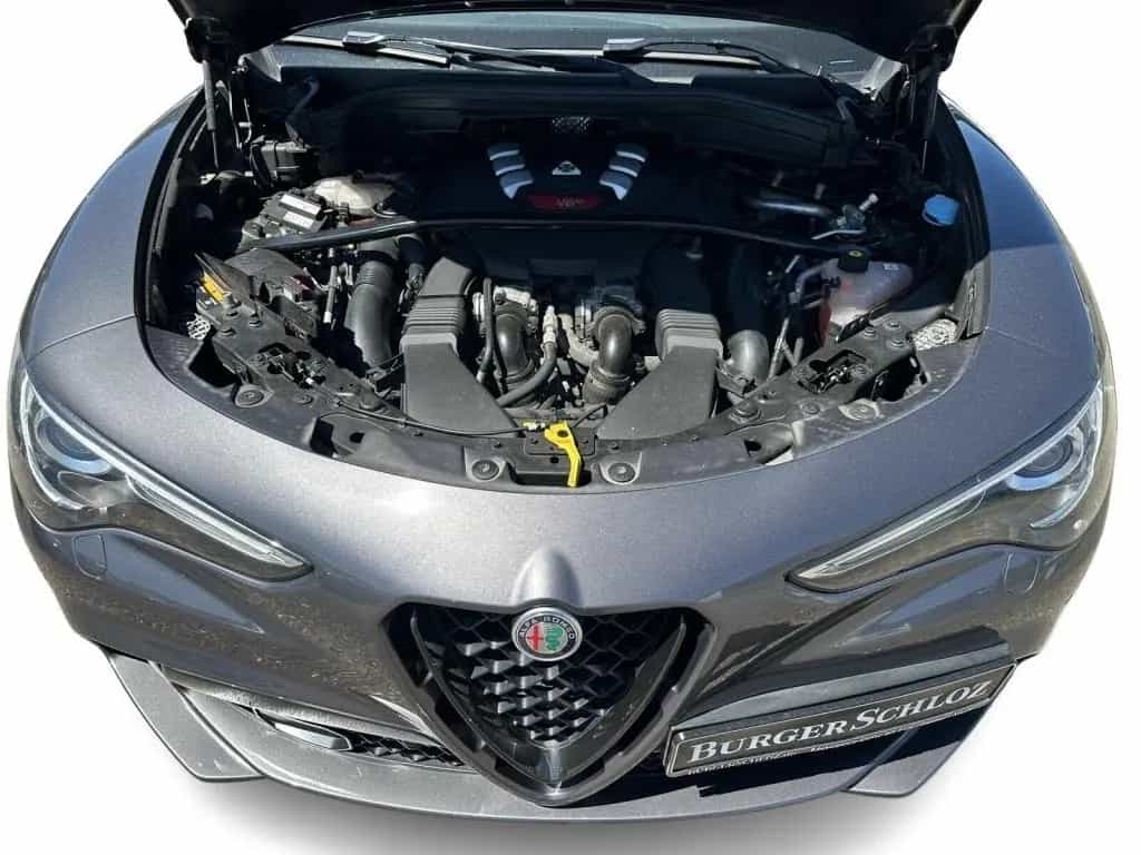 Alfa Romeo Stelvio 2.9 V6 Bi-turbo Quadrifoglio Q4 (E6dT) 09/2021-photo-9