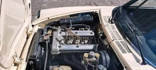 Alfa Romeo Spider 2000 07/1978-photo-4