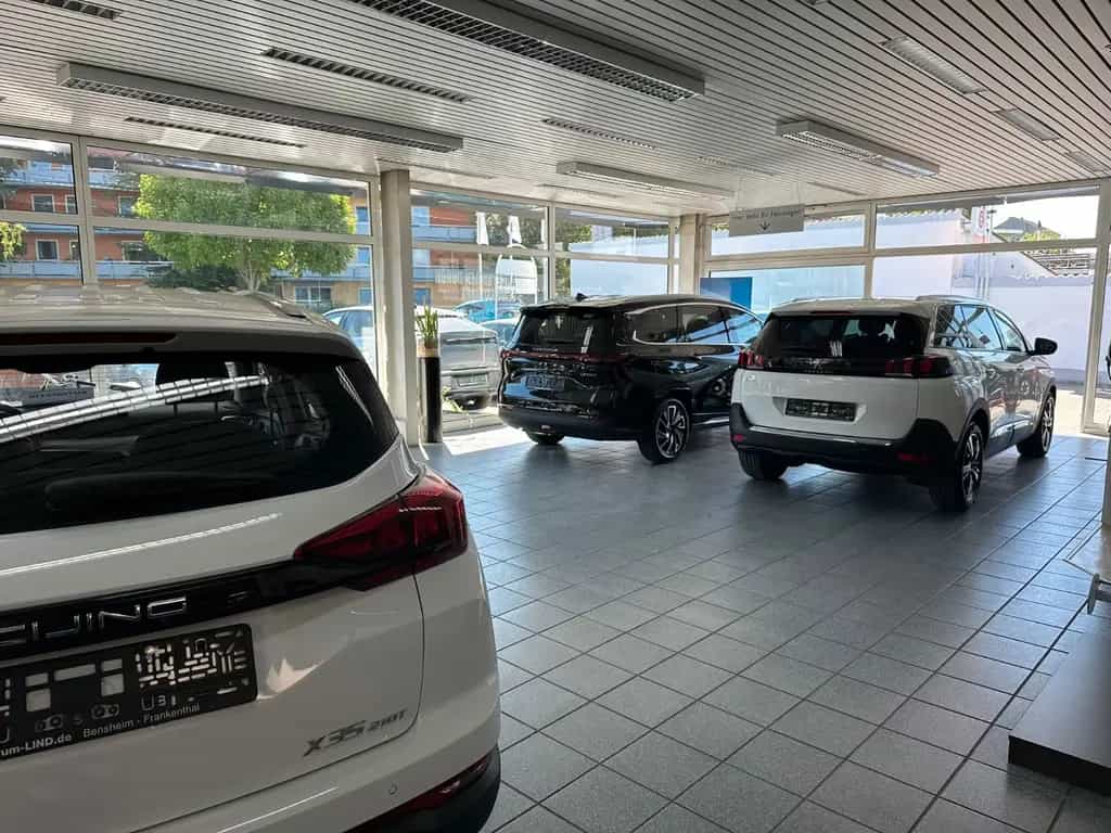 BAIC BJ30 4WD HEV AUTOM/PANO/LED/360°/KA null-photo-1