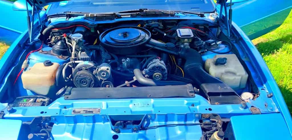 Pontiac Firebird V8 - 5.0 TBI - Targa 07/1988-photo-7