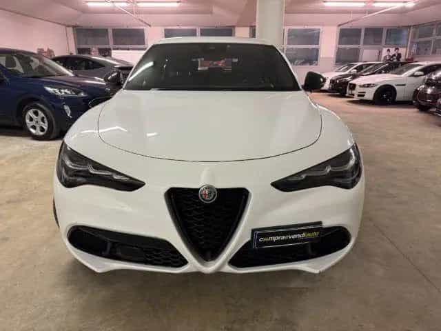 Alfa Romeo Stelvio ALFA ROMEO Stelvio 2.2 Turbodiesel 210 CV AT8 Q4 09/2023-photo-3