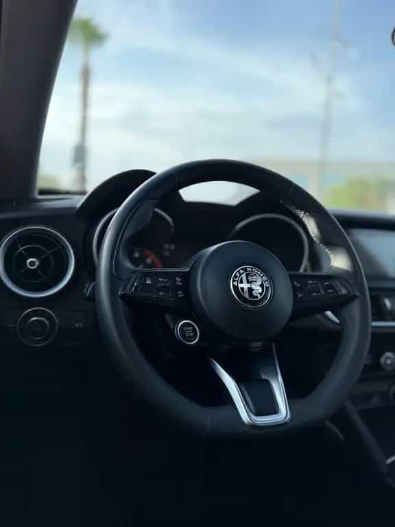 Alfa Romeo Stelvio 2.2 Turbodiesel 160 CV AT8 RW 05/2020-photo-10