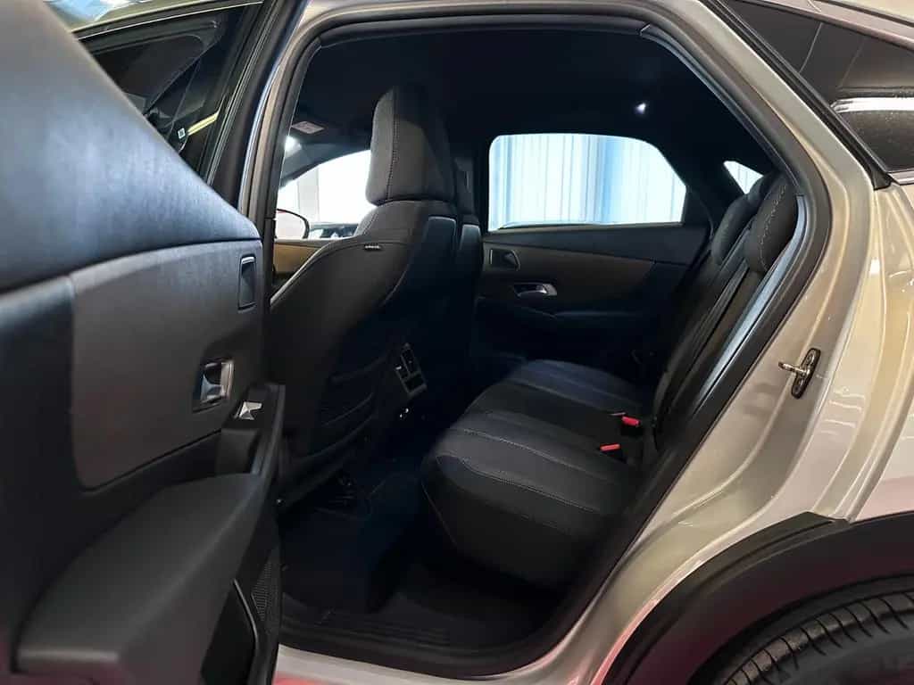 DS Automobiles DS7 (Crossback) DS7 Crossback //Navi//Kamera//AHK 01/2021-photo-20
