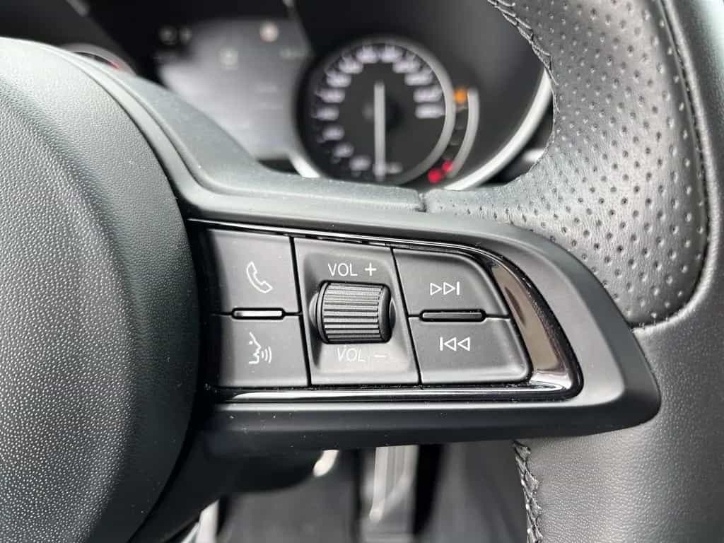 Alfa Romeo Stelvio 2.0Turbo 16V 4WD BI-XEN / NAVI / W-PAKET 01/2023-photo-13