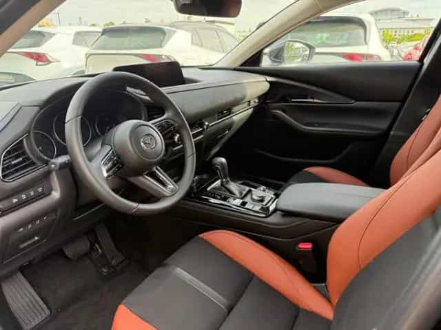 Mazda CX-30 Nagisa Automatik 2.5L e-SKYACTIV G 140ps 04/2026-photo-9