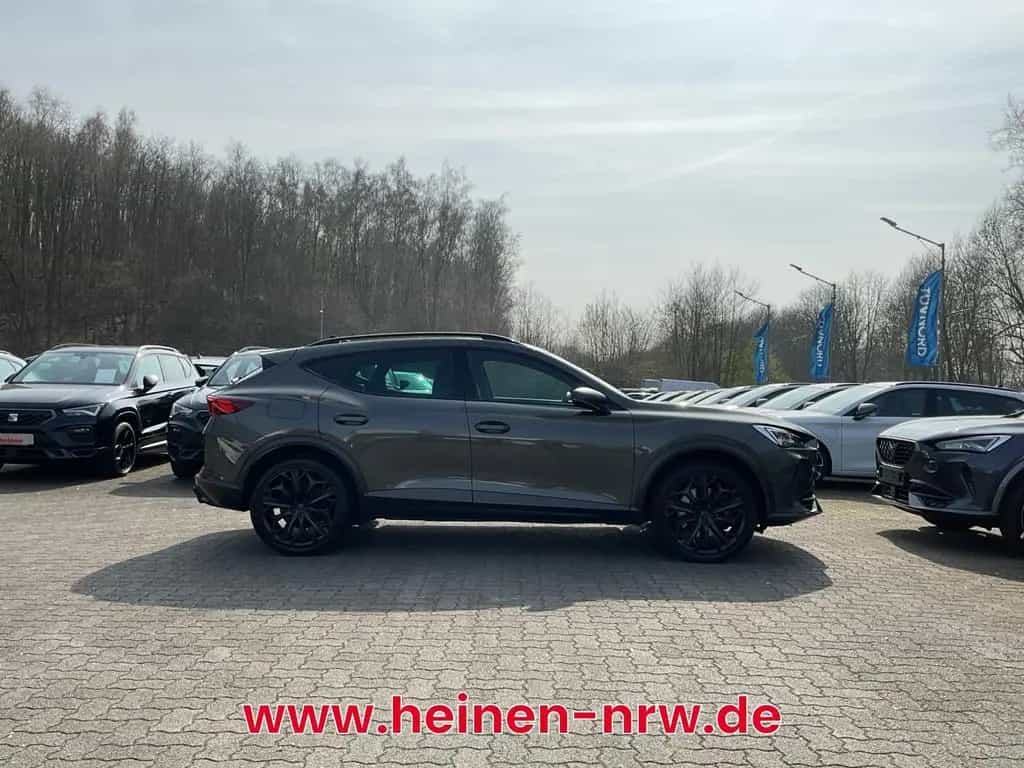 Cupra Formentor 2.0 TSI 4Drive VZ Tribe DSG NAVI ACC L 03/2024-photo-9