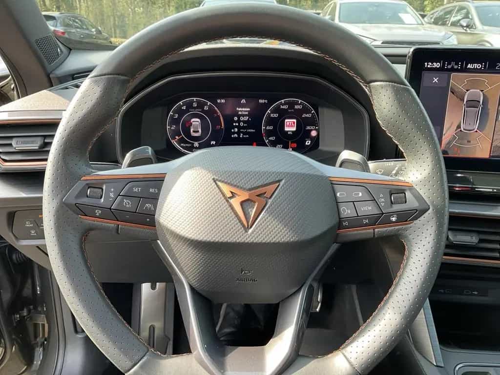Cupra Formentor 2.0 TSI VZ Tribe DSG NAVI 360KAM MEMOR 03/2024-photo-12