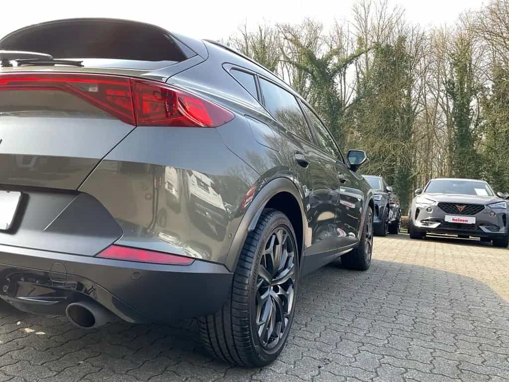 Cupra Formentor 2.0 TSI VZ Tribe DSG NAVI 360KAM MEMOR 03/2024-photo-14