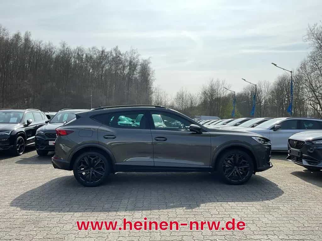 Cupra Formentor 2.0 TSI VZ Tribe DSG NAVI 360KAM MEMOR 03/2024-photo-9